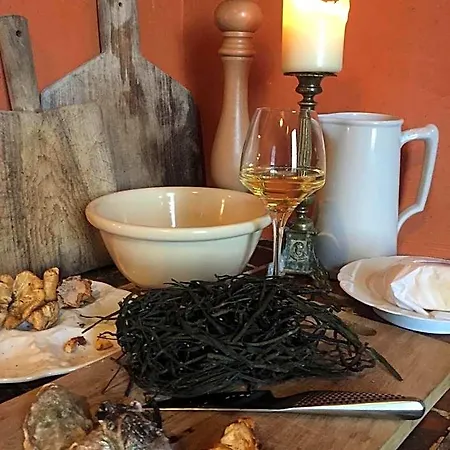 Le Chateau De Claids Bed & Breakfast Saint-Patrice-de-Claids