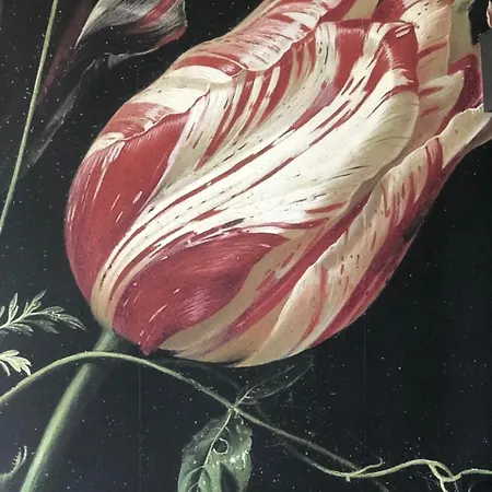 Frühstückspension Le Chateau De Claids Saint-Patrice-de-Claids