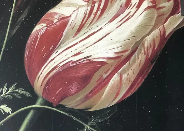 Bed & Breakfast Le Chateau De Claids Saint-Patrice-de-Claids