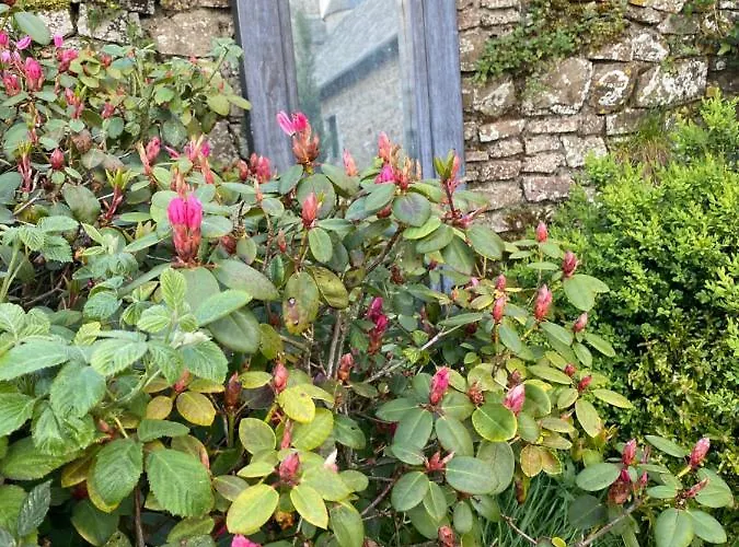 Le Chateau De Claids Bed & Breakfast 4*